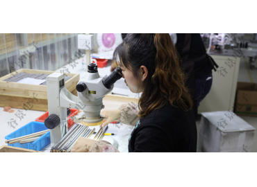 谷景電子關于鐵硅鋁磁環電感引腳晃動引發電感量變小的案例分享